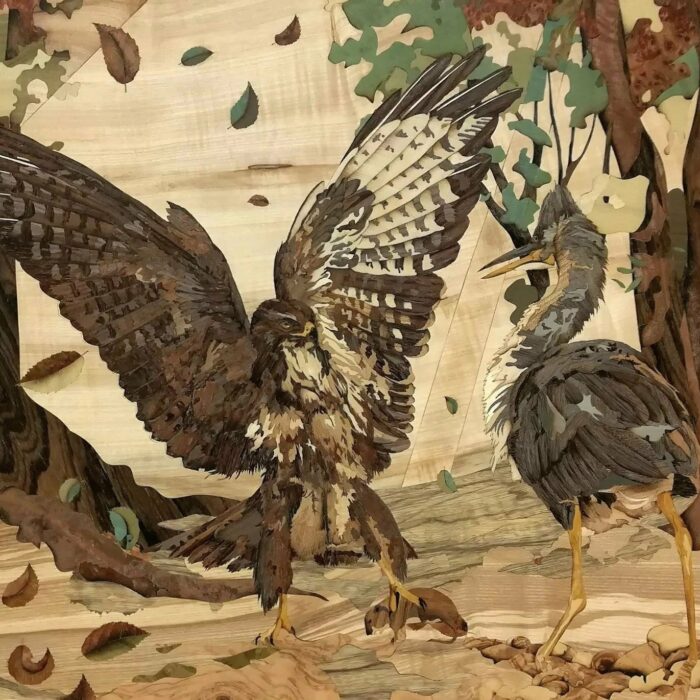 Combat d'une buse variable et d'un heron cendré