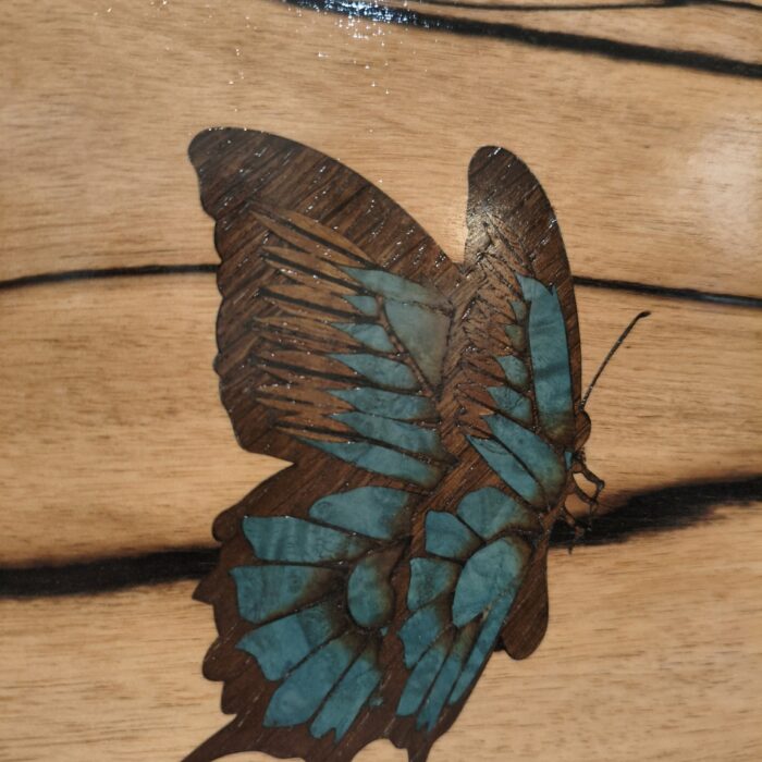 Papilio Montrouzieri